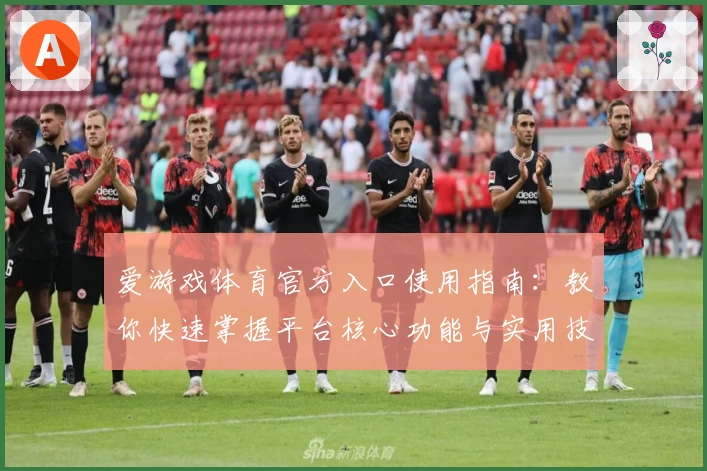 爱游戏体育官方入口使用指南：教你快速掌握平台核心功能与实用技巧